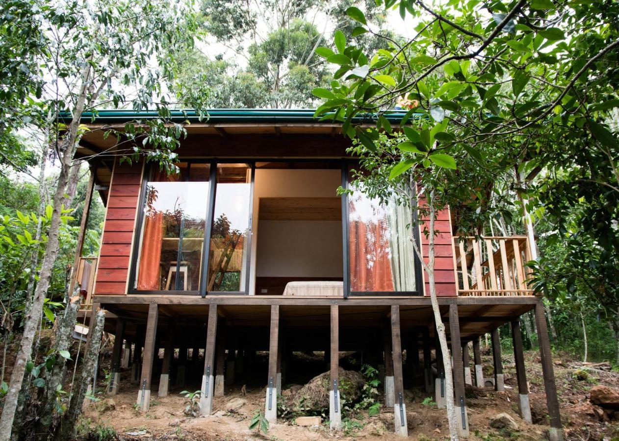 Cabanas El Coyote San Pablo  Экстерьер фото