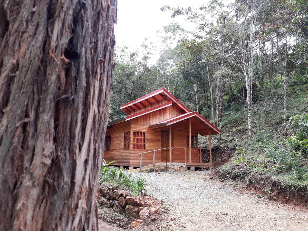 Cabanas El Coyote San Pablo  Экстерьер фото